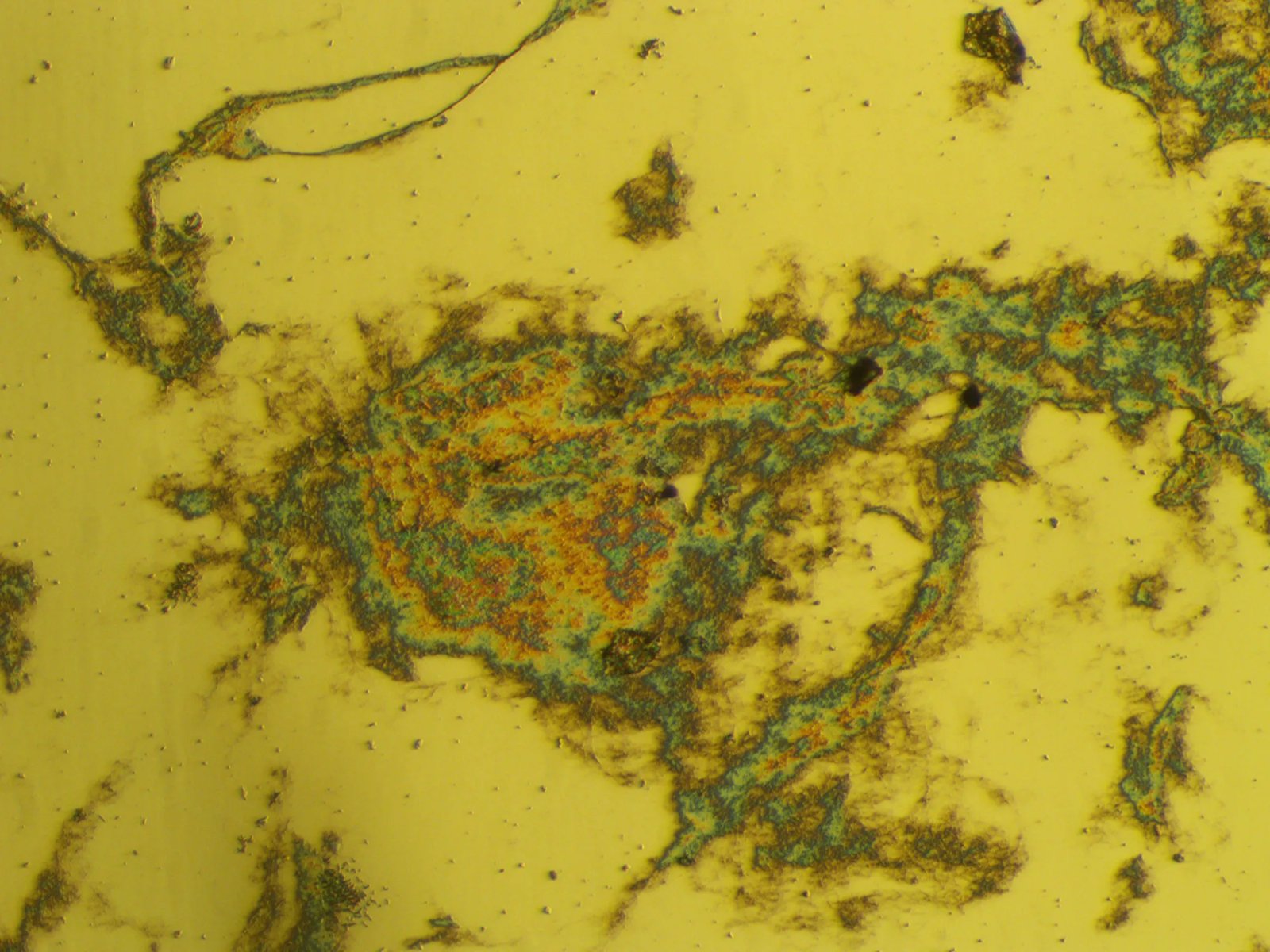 Optical, 10×: 4 mg/mL fibrinogen, 18 h on 50 µg/mL collagen. Thick, irregular aggregates (rainbow thin-film colours) joined by fibrous strands.